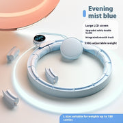 Removable Digital Weights