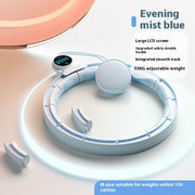 Removable Digital Weights